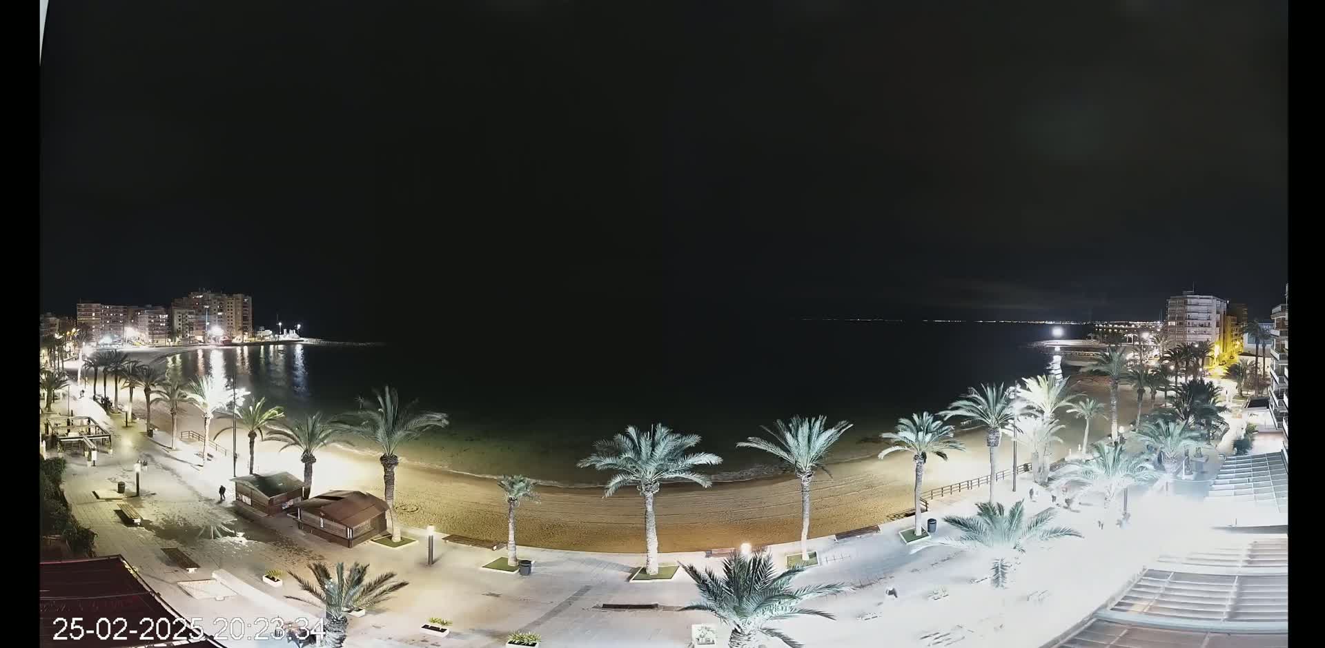 A nighttime view of a sandy beach lined with palm trees and illuminated buildings across a calm body of water.