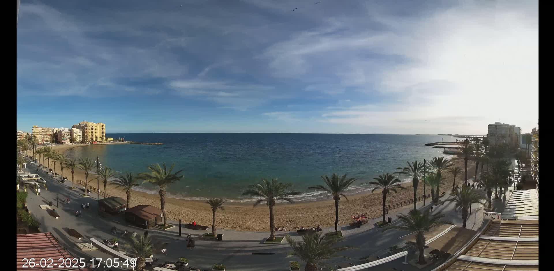 A mostly sunny day shows a beach with palm trees lining a promenade next to a calm, blue ocean and buildings in the background.