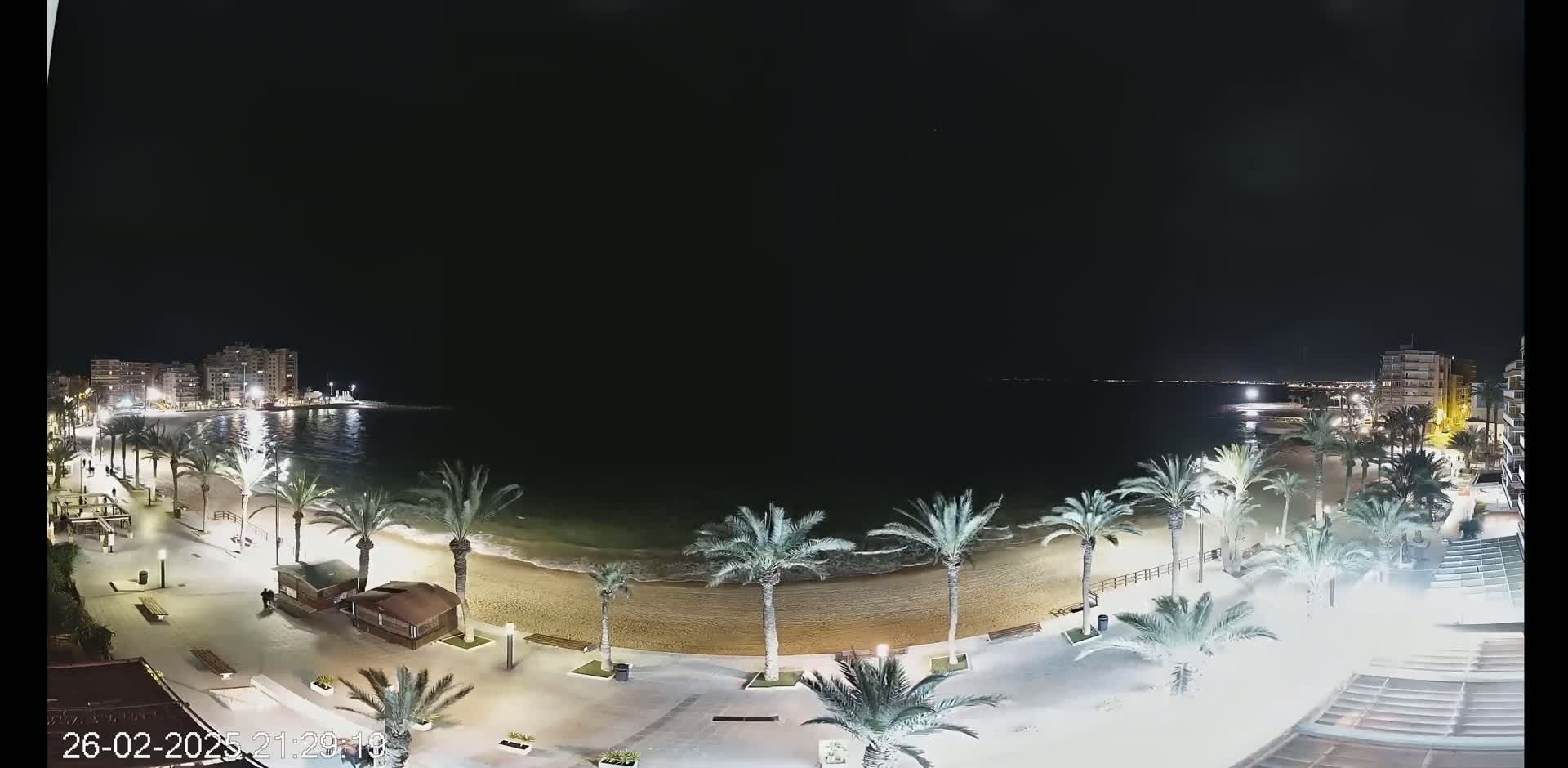 A nighttime view of a sandy beach lined with palm trees, bordered by a paved walkway and buildings, under a clear, dark sky.