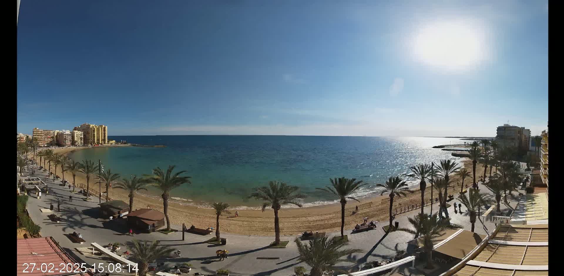 A sunny day reveals a sandy beach lined with palm trees, a calm ocean, and buildings along the shoreline.