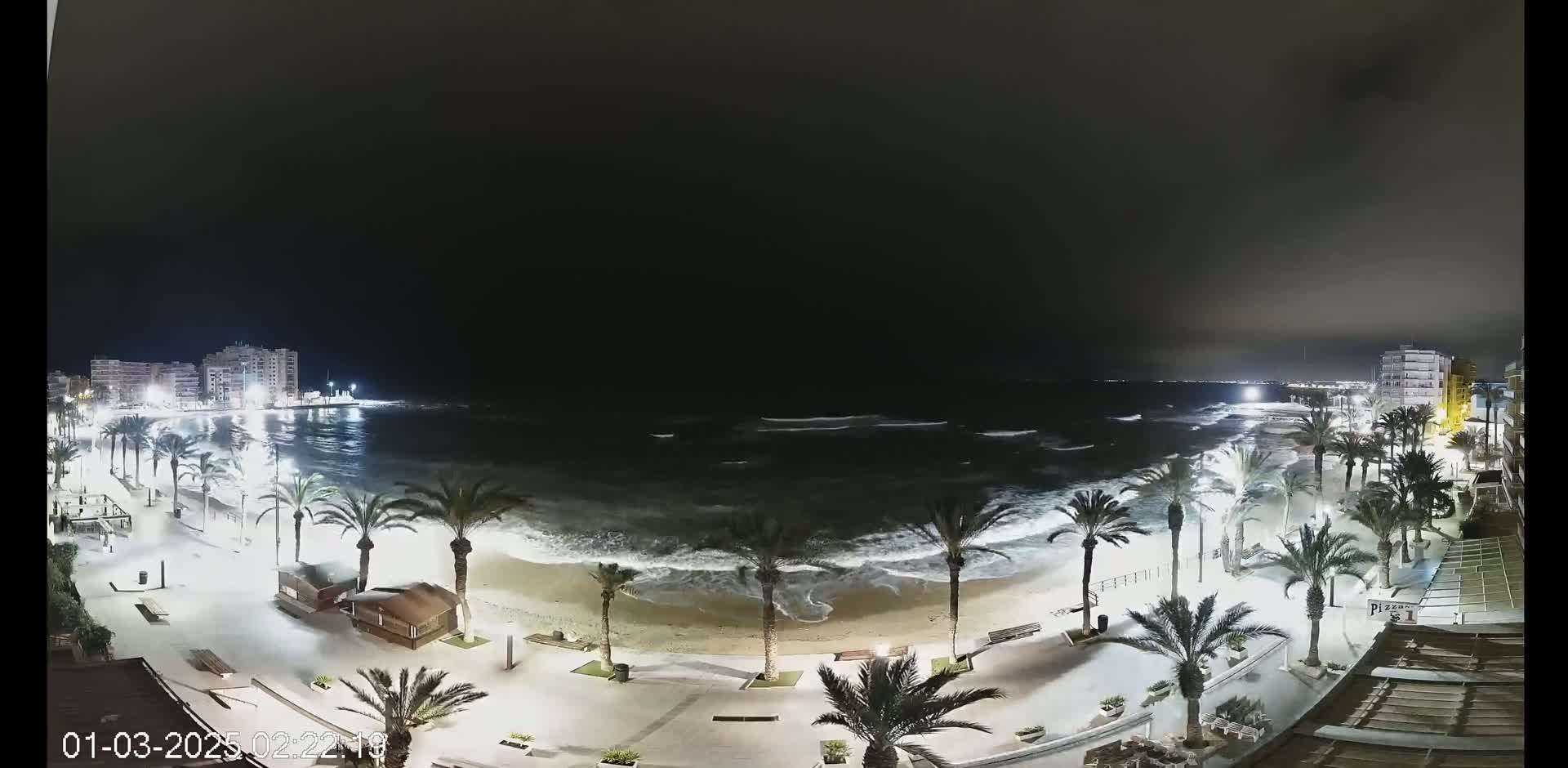 A nighttime view of a beach with palm trees lining a paved walkway, under a dark sky with slightly wavy water.