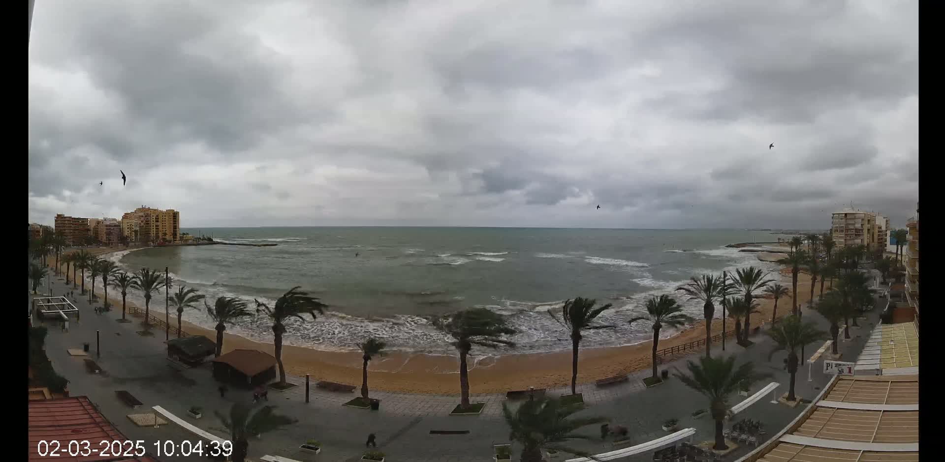 A beach with palm trees and buildings is seen under an overcast sky with moderate waves lapping the shore.
