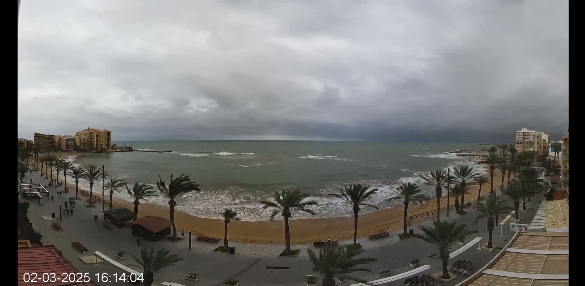 A cloudy day shows a beach with palm trees lining a paved walkway next to a calm, grey-green ocean with small waves.