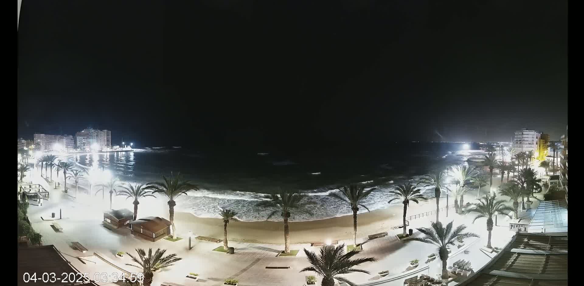 A nighttime view of a beach with moderate waves, palm trees lining the shore, and buildings illuminated in the background under a dark sky.