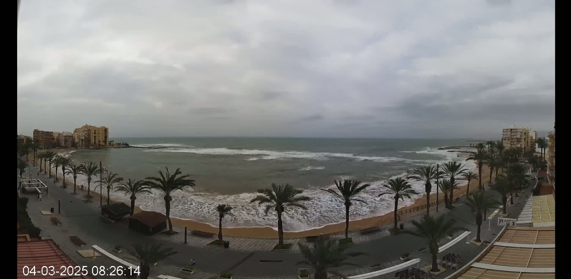 A beach with palm trees along a promenade is shown, with moderately rough ocean waves under an overcast sky.