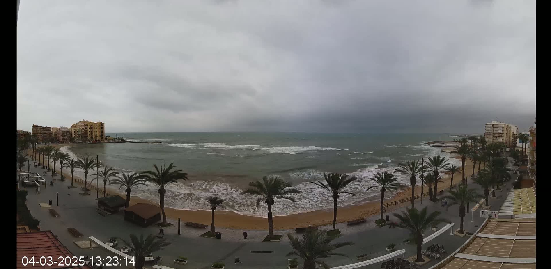 A sandy beach with palm trees lining a promenade is shown under an overcast sky, with choppy waves rolling onto the shore.