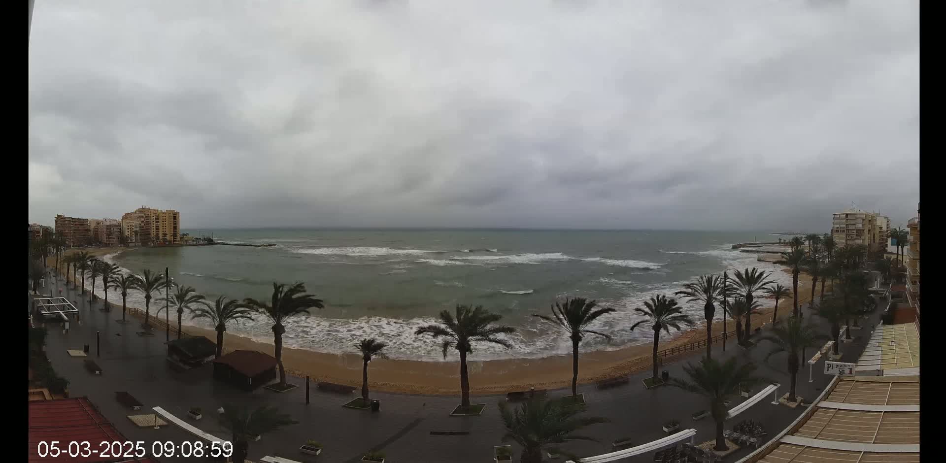 A beach with palm trees lining a paved walkway is shown under an overcast sky, with moderately rough waves crashing on the shore.