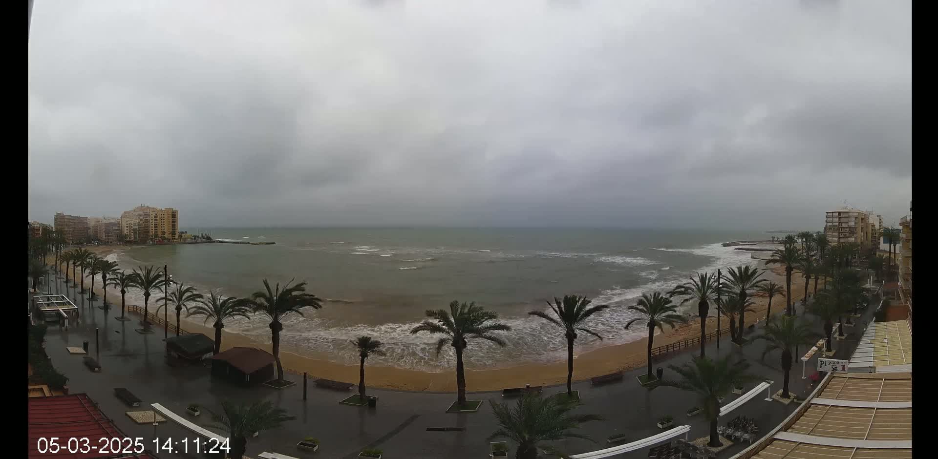 A rain-swept beach scene shows palm trees lining a wet promenade next to a turbulent sea under an overcast sky.