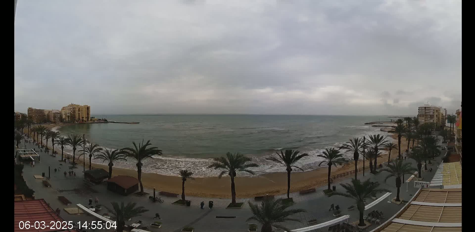 A beach with palm trees and buildings is seen on an overcast day with small waves.