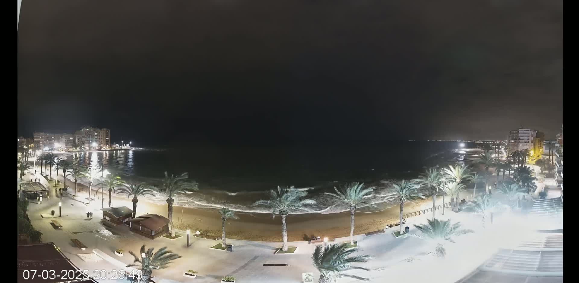 A nighttime view of a beach with palm trees, buildings in the distance, and waves breaking on the shore under a dark sky.