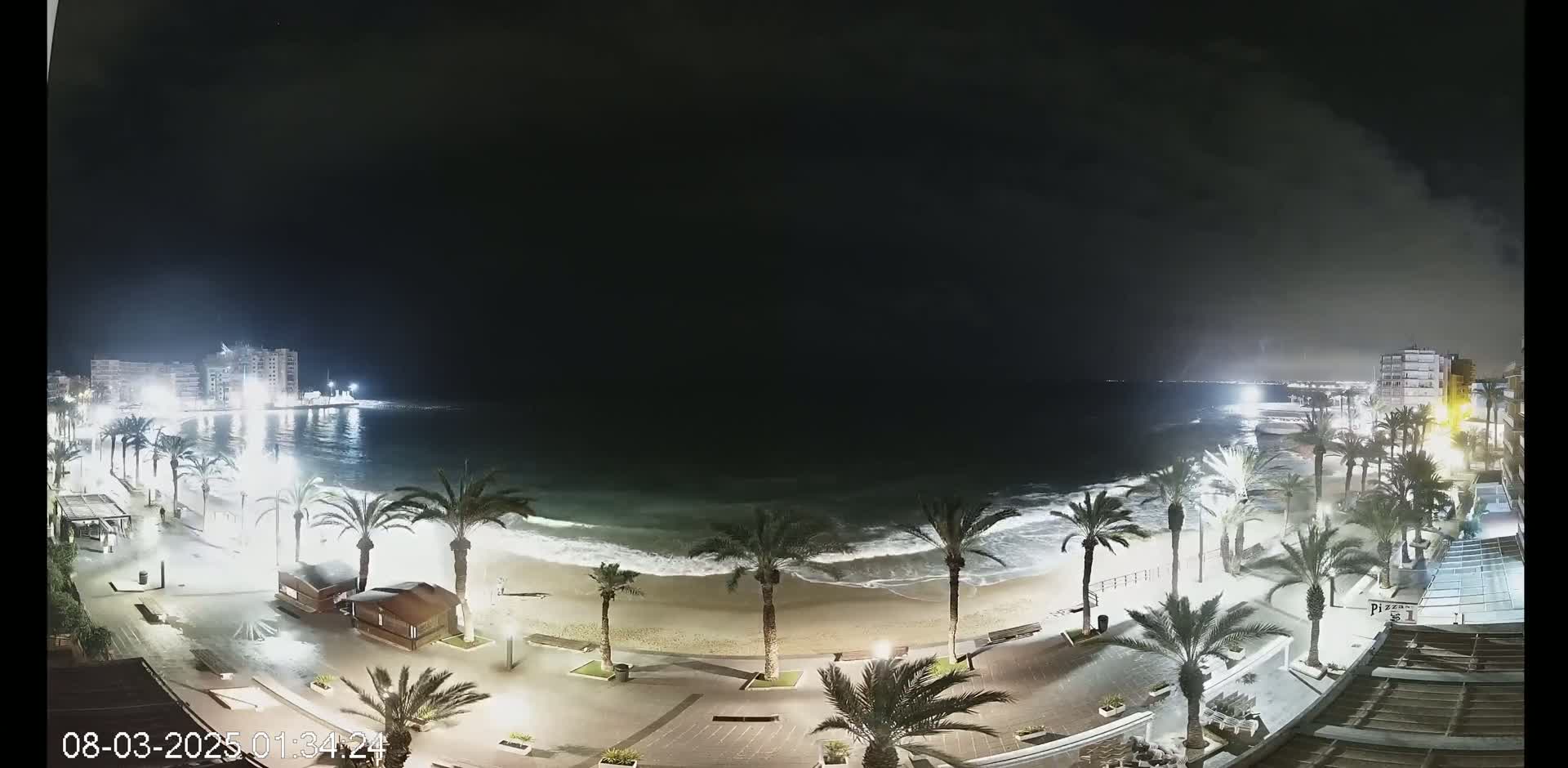 A nighttime view of a beach with palm trees lining the shore, gentle waves lapping the sand, and buildings illuminated in the distance under a dark, cloudy sky.