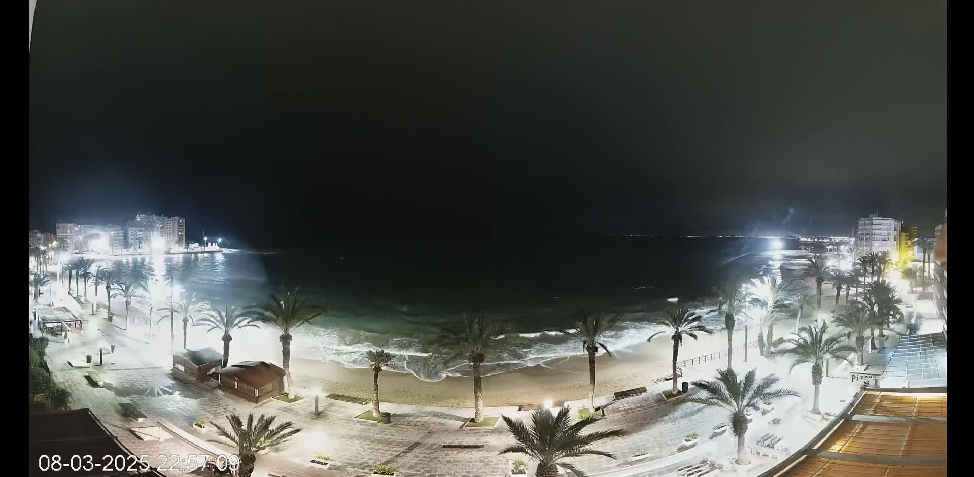 A nighttime view of a beach with palm trees and buildings along the shoreline, showing moderately rough waves under a dark sky.
