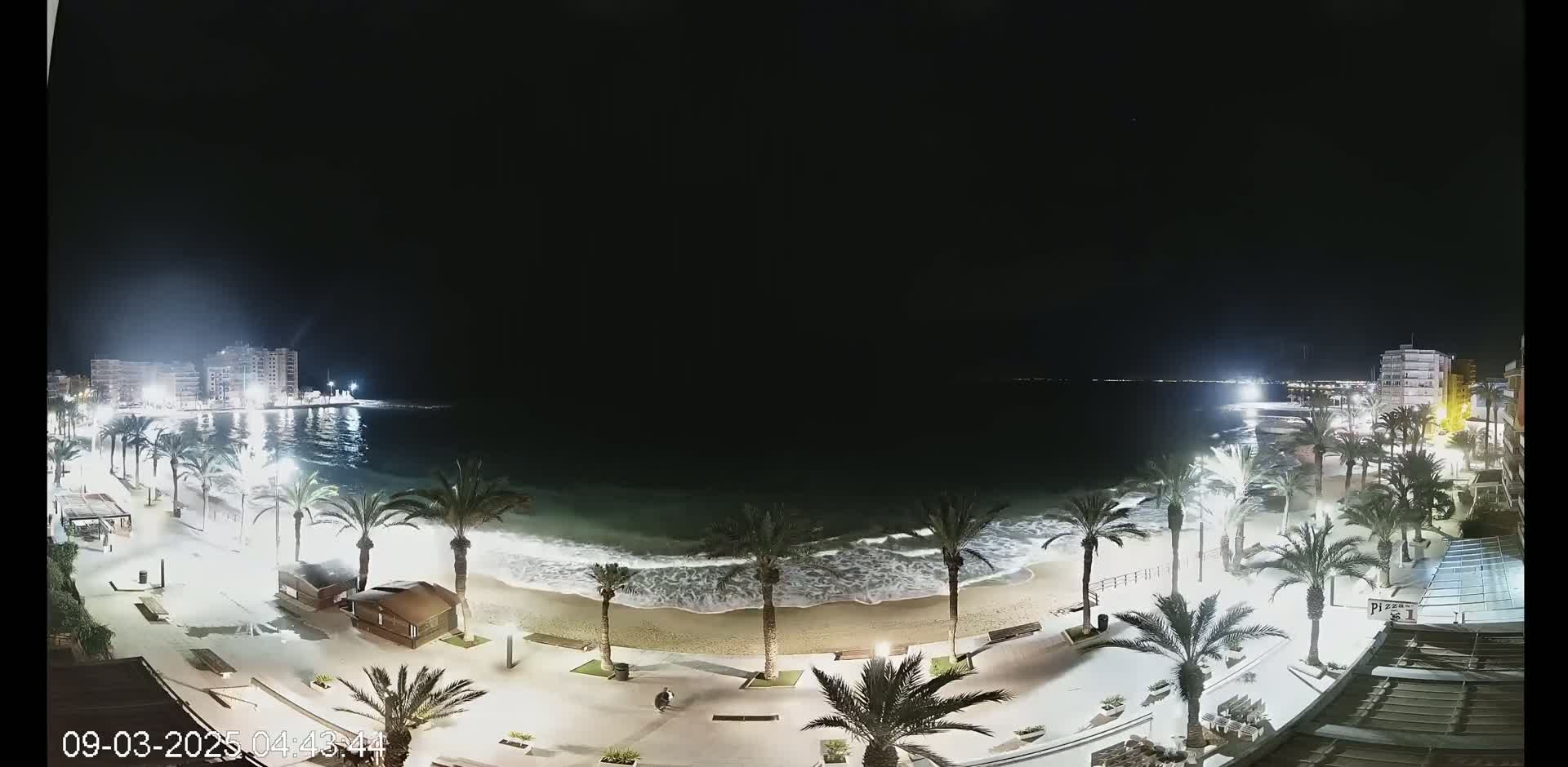 A nighttime, high-angle view of a beach with palm trees lining a paved walkway, gentle waves lapping the shore, and buildings in the background under a clear, dark sky.