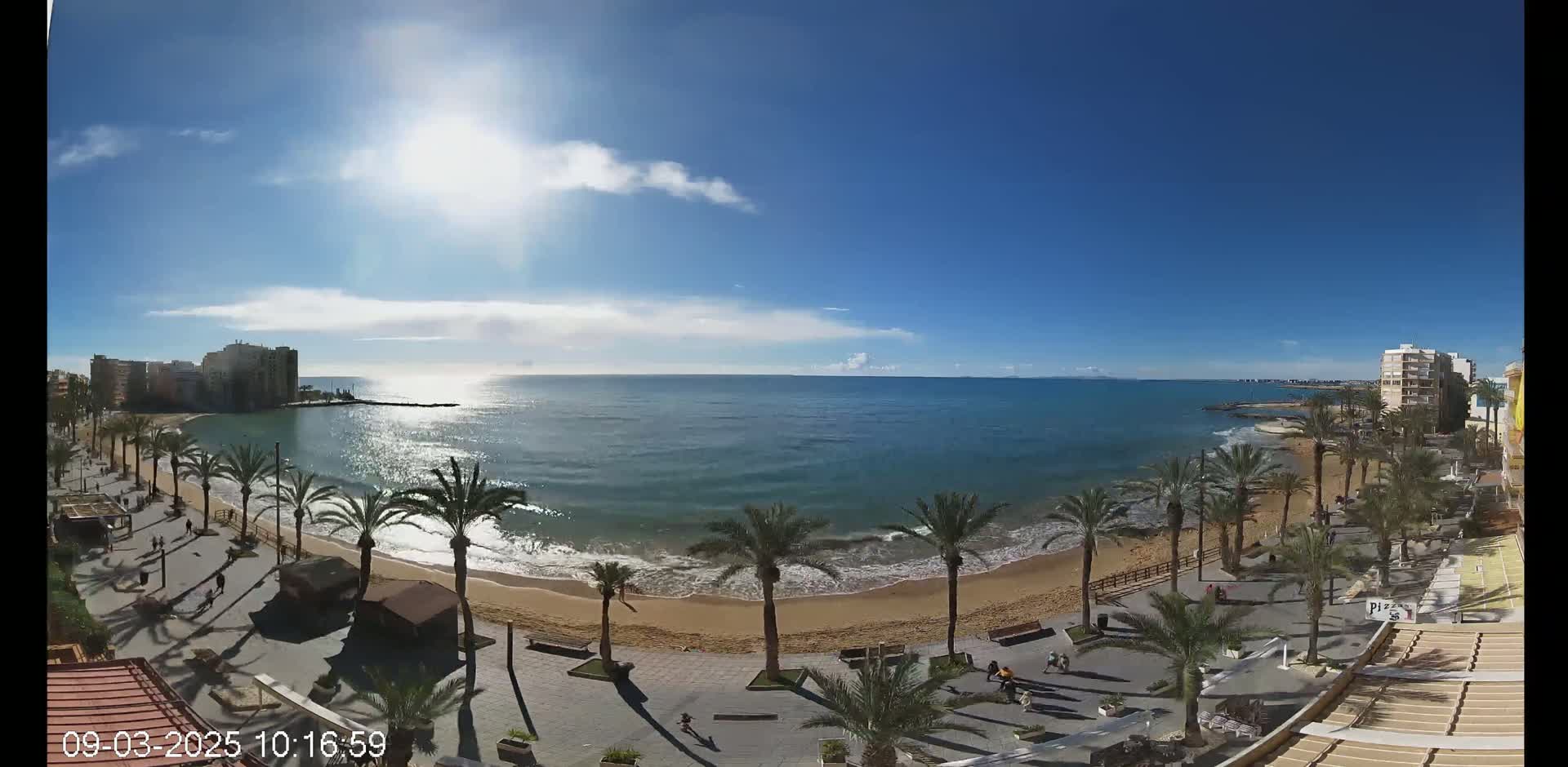 A sunny day at a beach with palm trees lining a paved walkway next to a sandy shore and calm ocean waters.