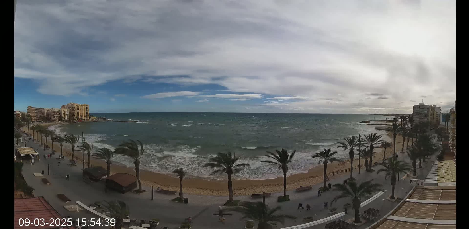 A windy day at a beach with palm trees lining a boardwalk, overlooking a wavy ocean and buildings in the distance under a partly cloudy sky.