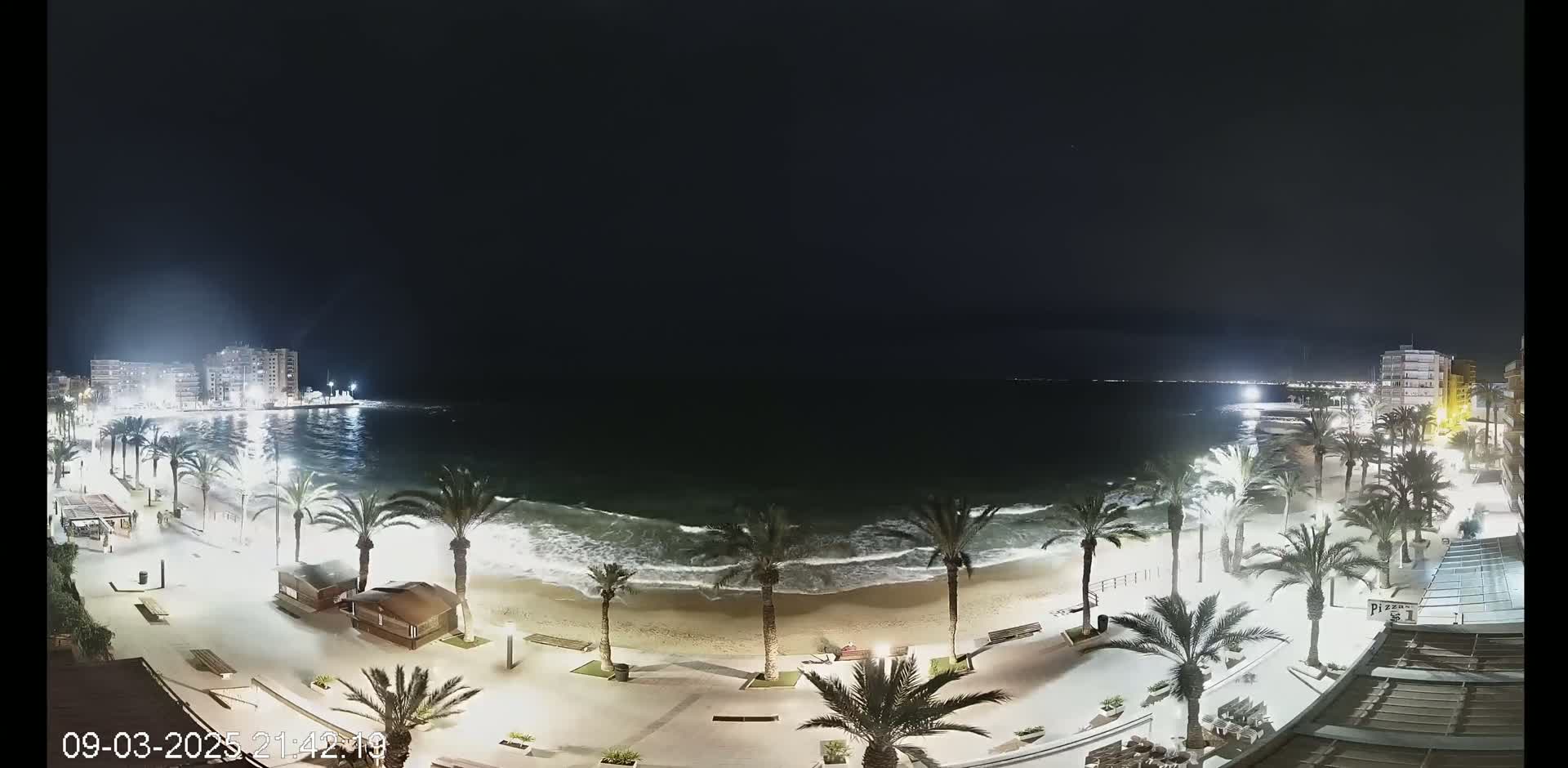 A nighttime beach scene shows a sandy shore with palm trees lining a paved walkway,  moderate waves lapping the sand, and buildings illuminated in the distance under a dark, clear sky.