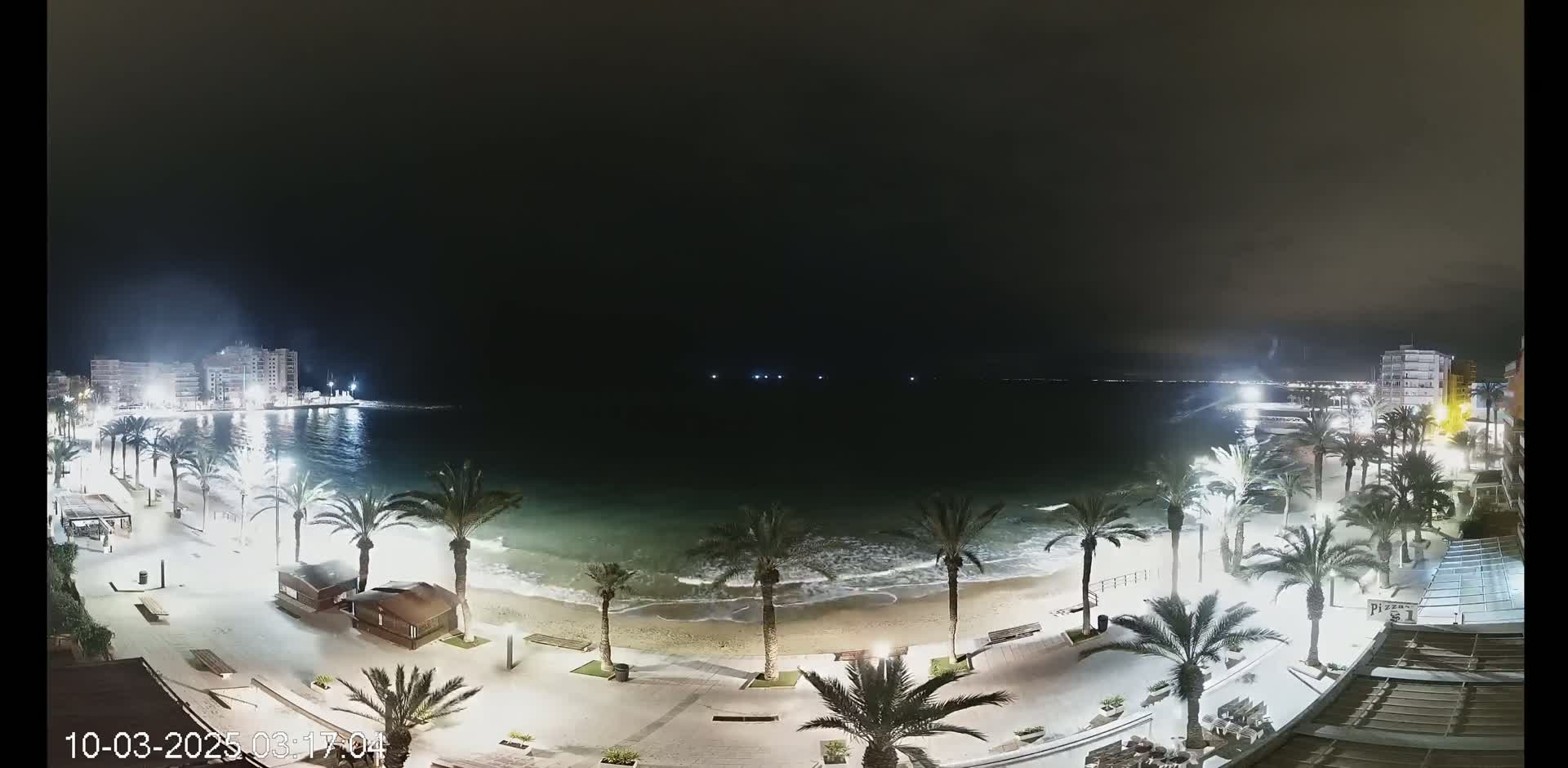 A nighttime view of a beach with palm trees lining a paved walkway, illuminated buildings in the background, and gentle waves lapping the shore.