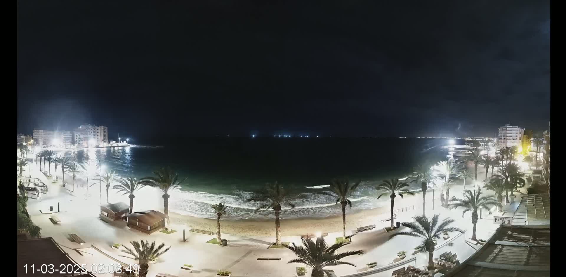 A nighttime view of a beach with palm trees lining a paved walkway, buildings in the background, and gently lapping waves under a dark sky.
