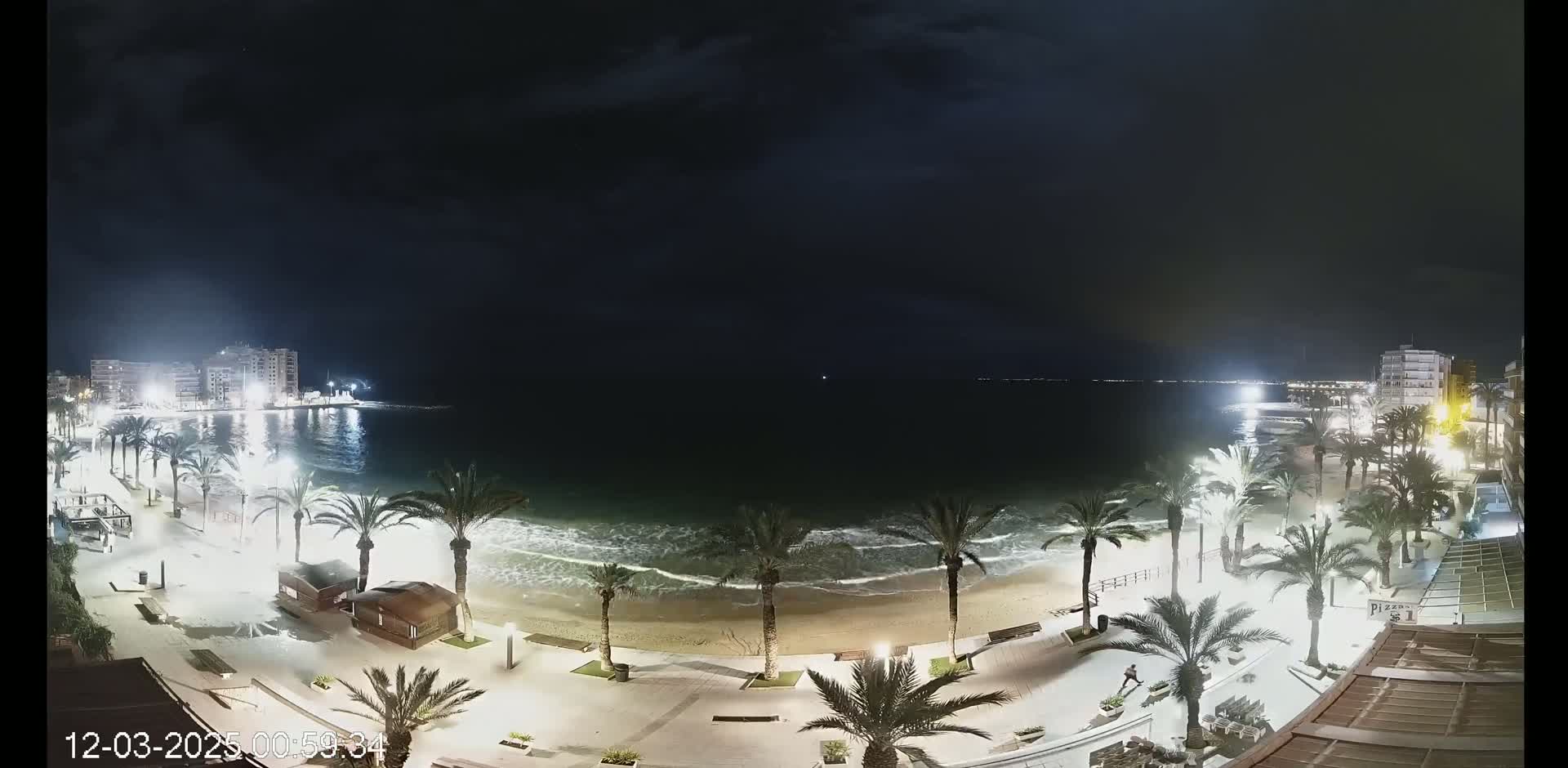 A nighttime view of a beach with palm trees lining a paved walkway, gentle waves lapping the shore, and buildings illuminated in the distance under a dark, cloudy sky.