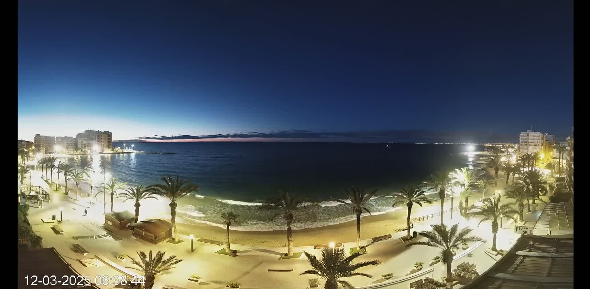 A nighttime view of a beach with palm trees lining a paved walkway, illuminated by streetlights, under a clear, dark blue sky.