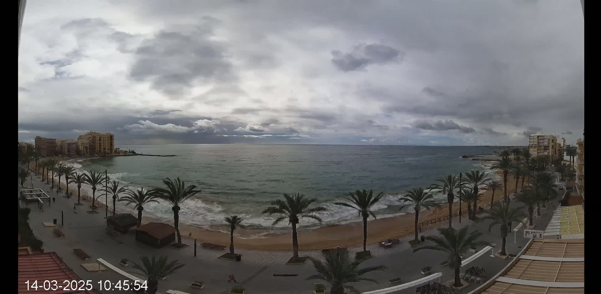 A cloudy day shows a beachfront with palm trees lining a paved walkway next to a sandy beach with moderate waves, and buildings in the background.