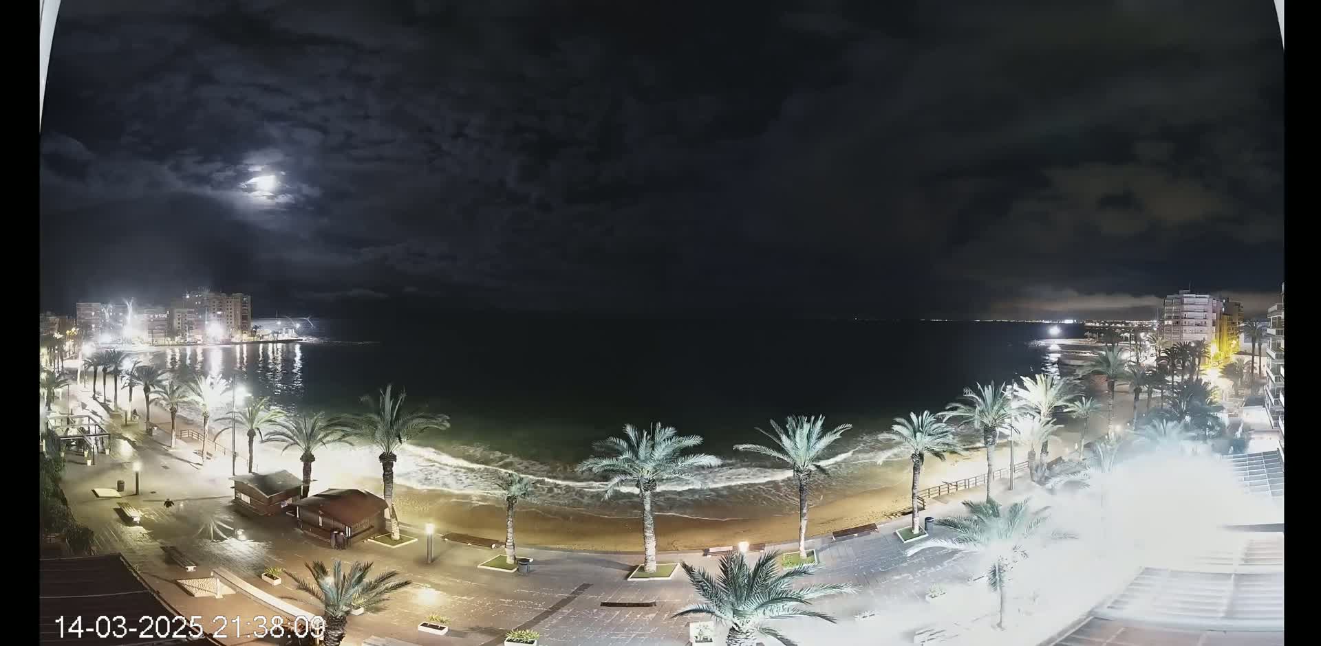 A nighttime view of a beach with palm trees, gentle waves, and buildings in the distance under a cloudy moonlit sky.