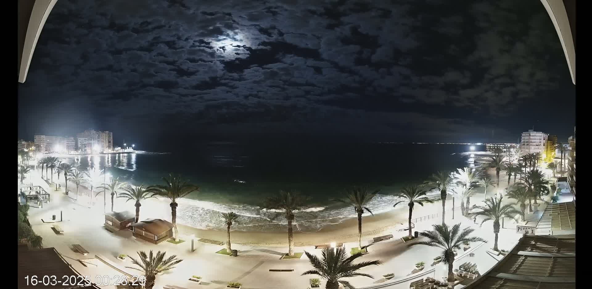 A moonlit night scene shows a beach at night with palm trees lining a paved walkway, buildings in the distance, and a partially cloudy sky.