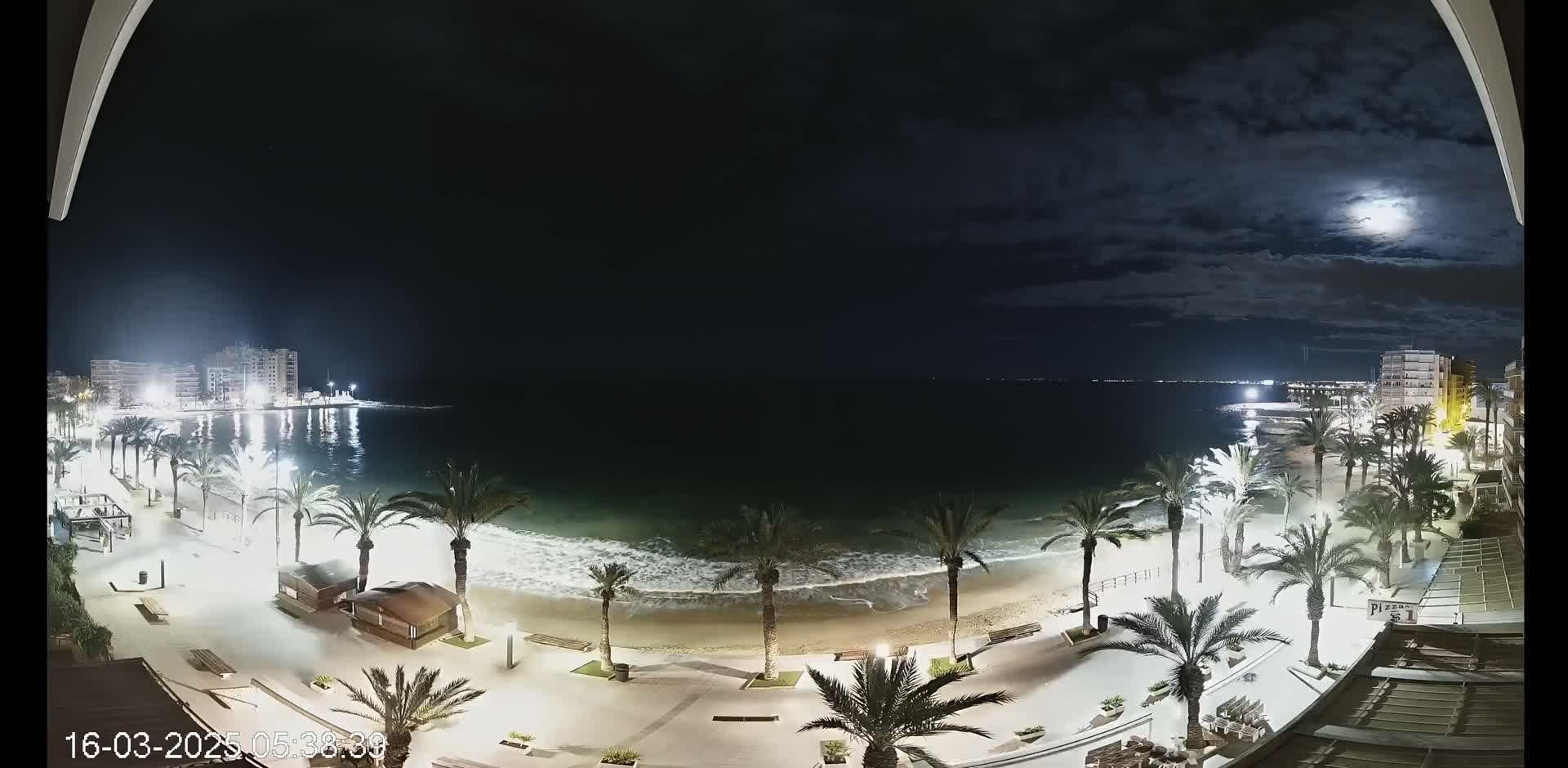 A nighttime view of a beach with palm trees lining a paved walkway, buildings in the distance, and a partially cloudy sky with a bright moon.
