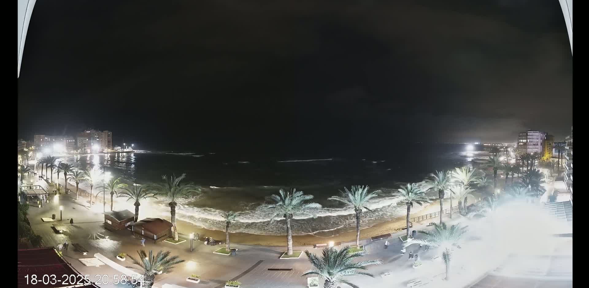 A nighttime view of a beach at night with palm trees lining a paved walkway, buildings in the distance, and moderate waves crashing on the shore.