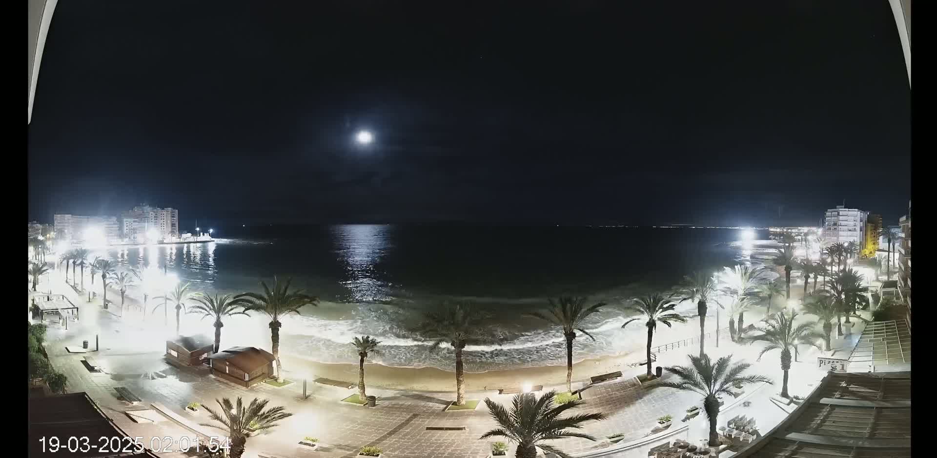 A moonlit night scene shows a beach with palm trees and buildings along the shoreline, under a clear sky with a bright moon.