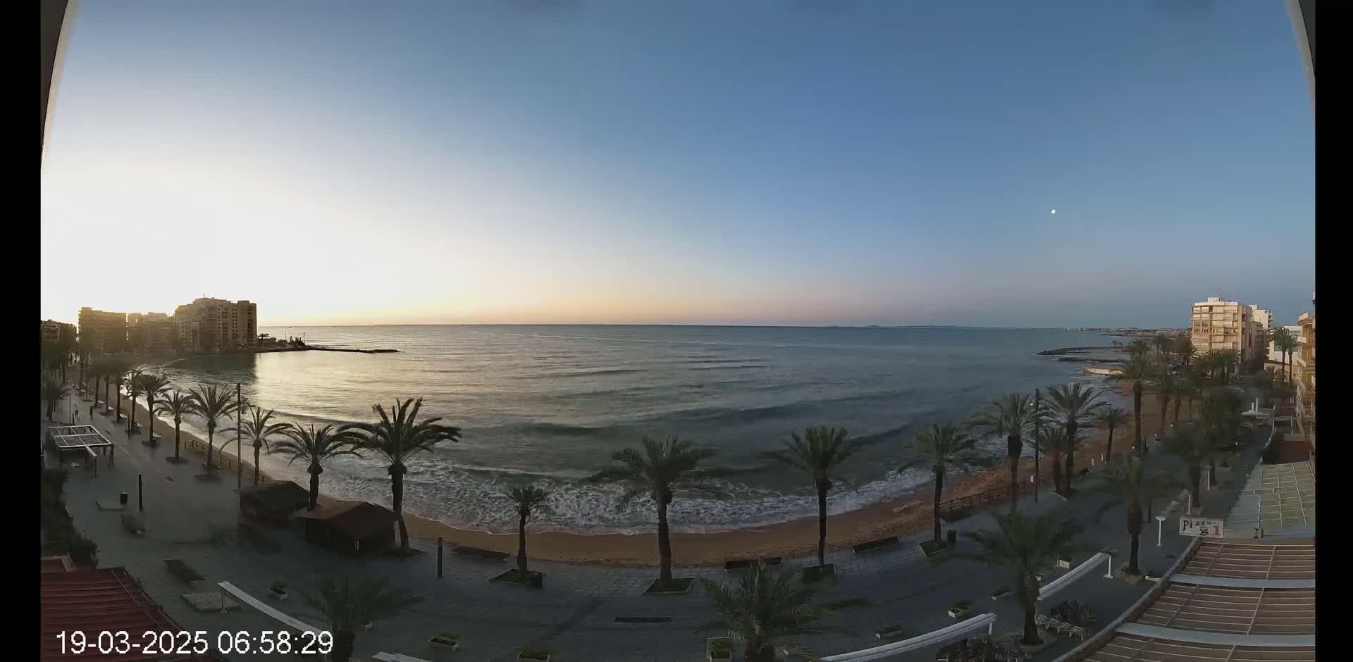 A calm sunrise illuminates a beach with palm trees lining a paved walkway, buildings visible in the distance, and gentle waves rolling onto the shore.