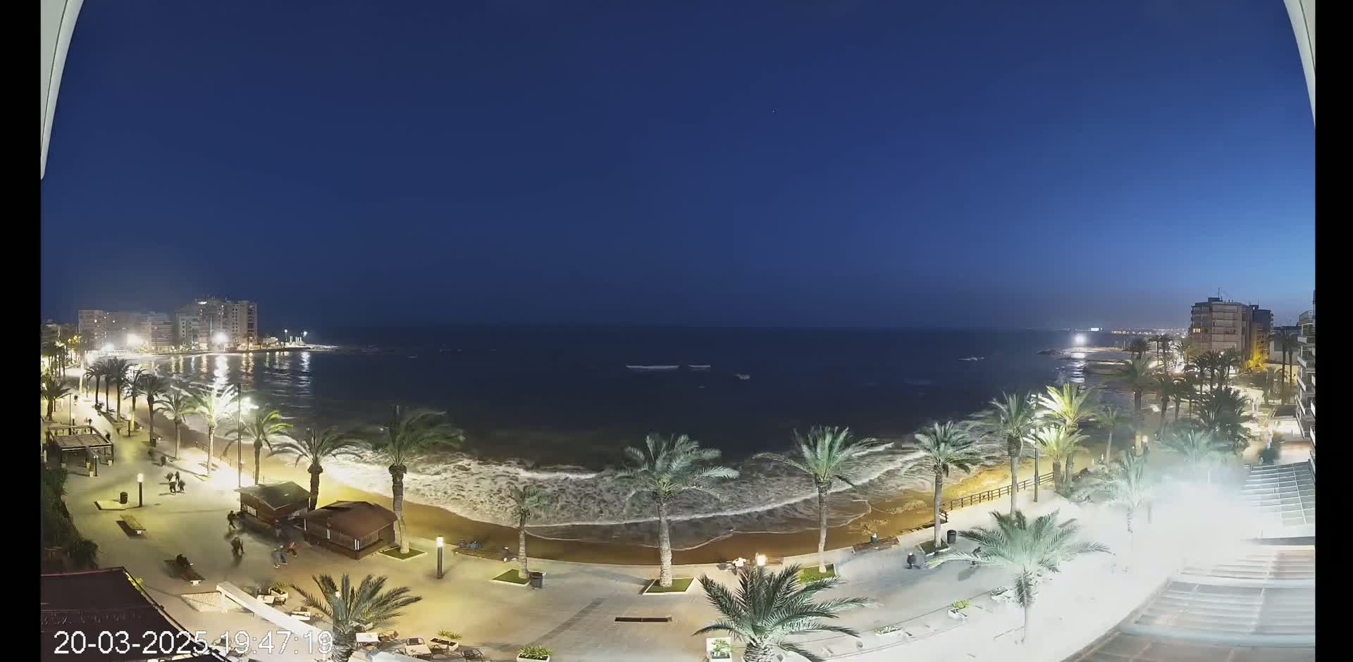 A nighttime view of a beach with palm trees lining a boardwalk, gentle waves lapping the shore, and buildings in the background under a clear, dark blue sky.