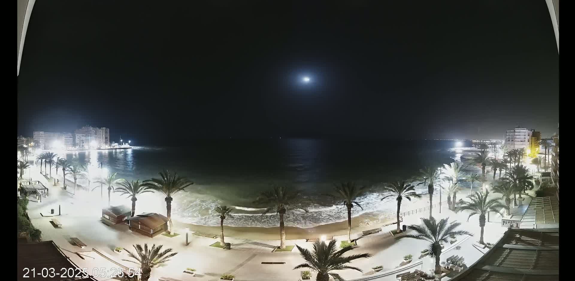 A moonlit night scene shows a beach with palm trees lining a paved walkway, gentle waves lapping the shore, and buildings illuminated in the distance.