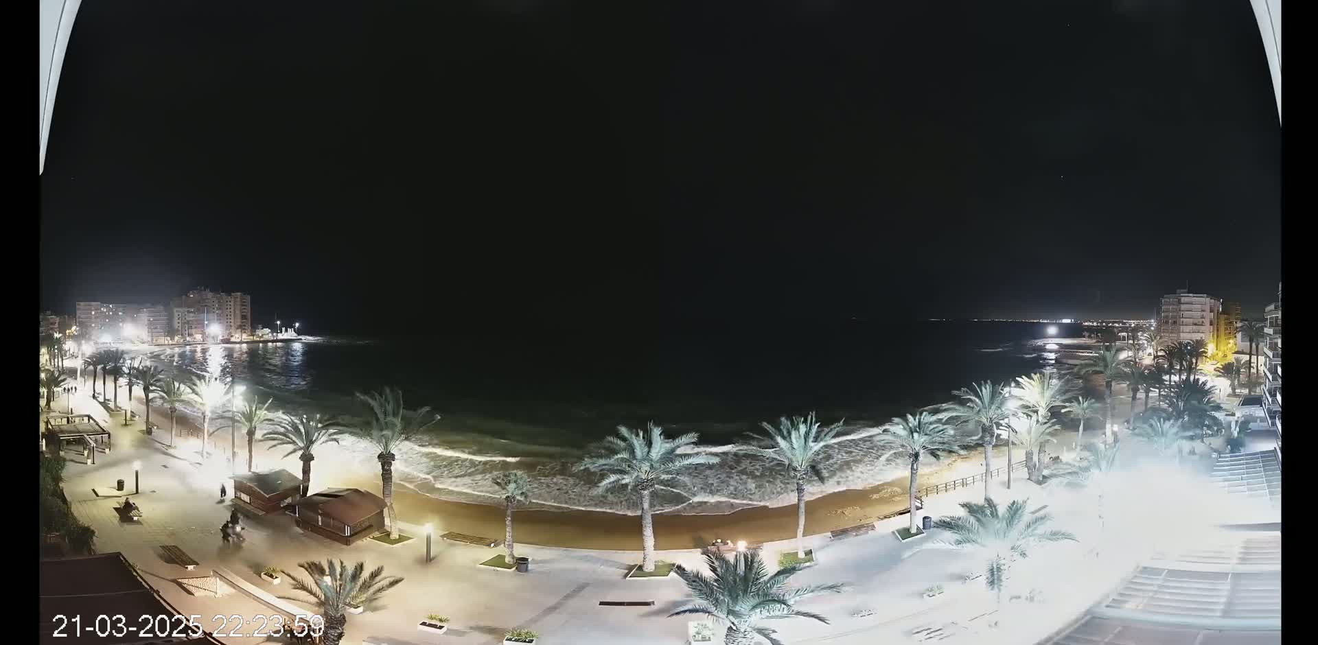 A nighttime view of a beach with palm trees lining the shore, gentle waves lapping the sand, and buildings visible in the distance under a clear, dark sky.