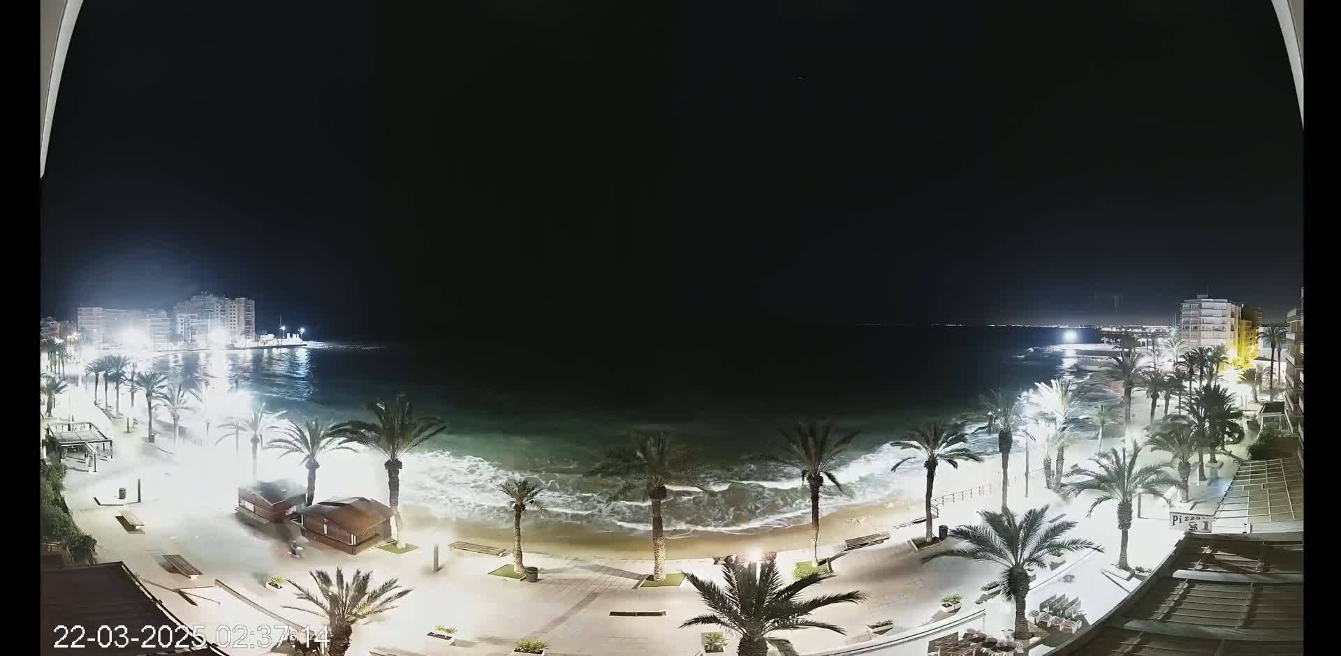 A nighttime view of a beach at night with palm trees lining a paved walkway, showing moderate waves crashing on the shore under a dark sky.