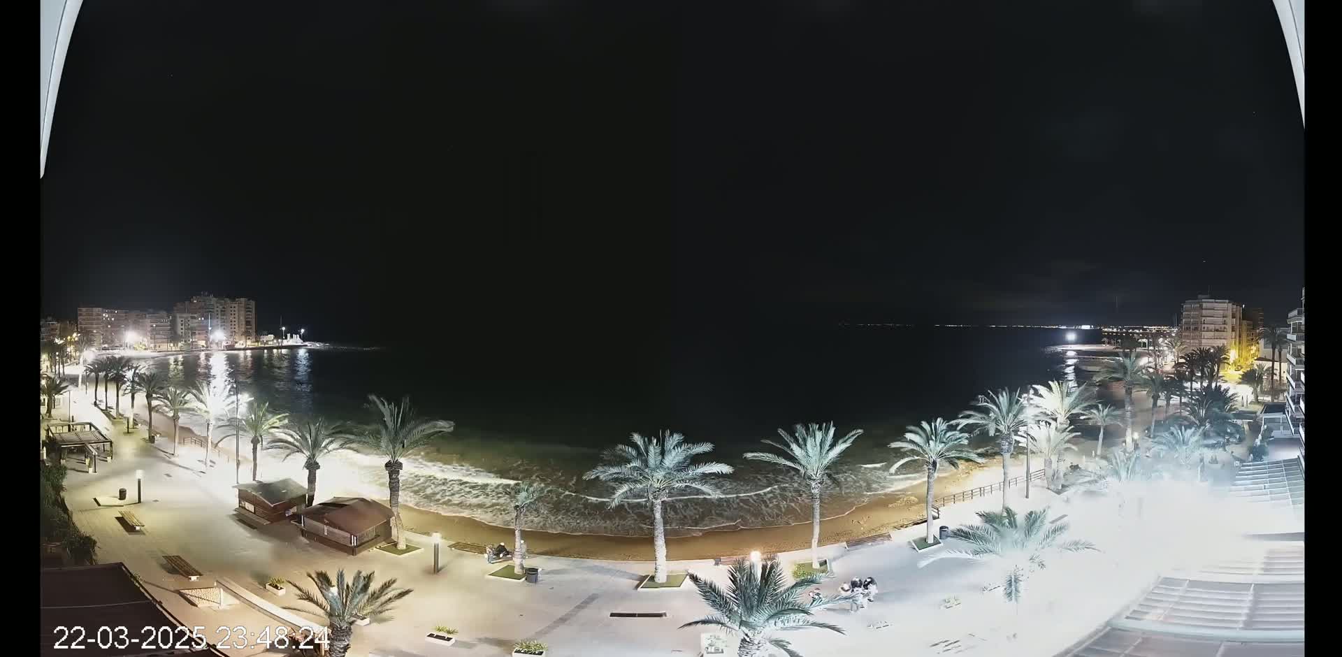 A nighttime view of a beach at night with palm trees lining a paved walkway, gentle waves lapping the shore, and buildings visible in the distance under a dark sky.