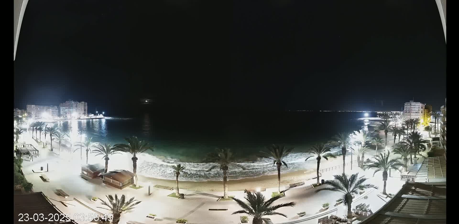 A nighttime, seaside view shows a sandy beach with small waves lapping the shore, palm trees lining a paved walkway, and buildings illuminated in the distance.