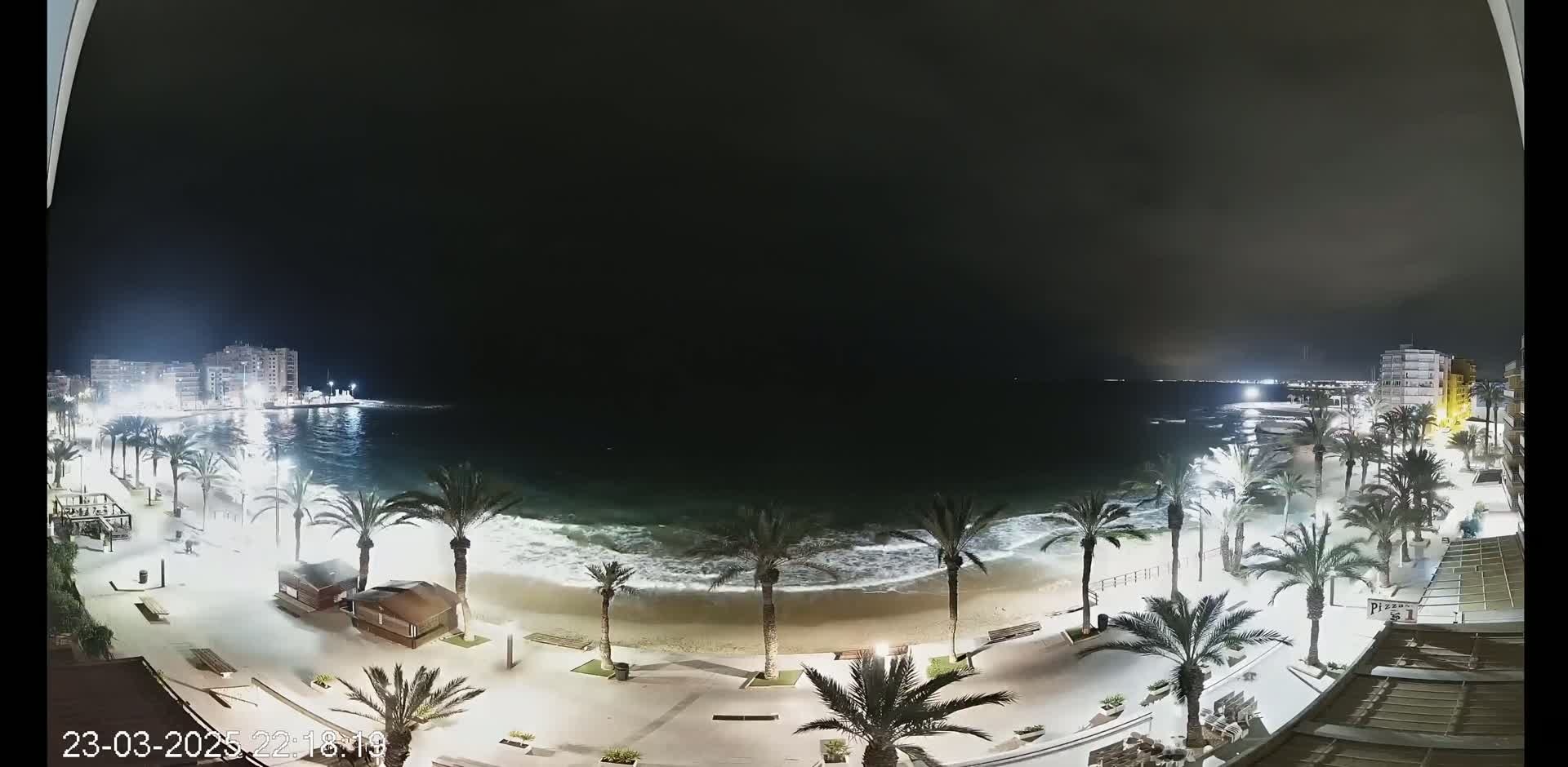 A nighttime view of a beach with palm trees lining a paved walkway, gentle waves lapping the shore, and buildings illuminated in the distance under a dark sky.