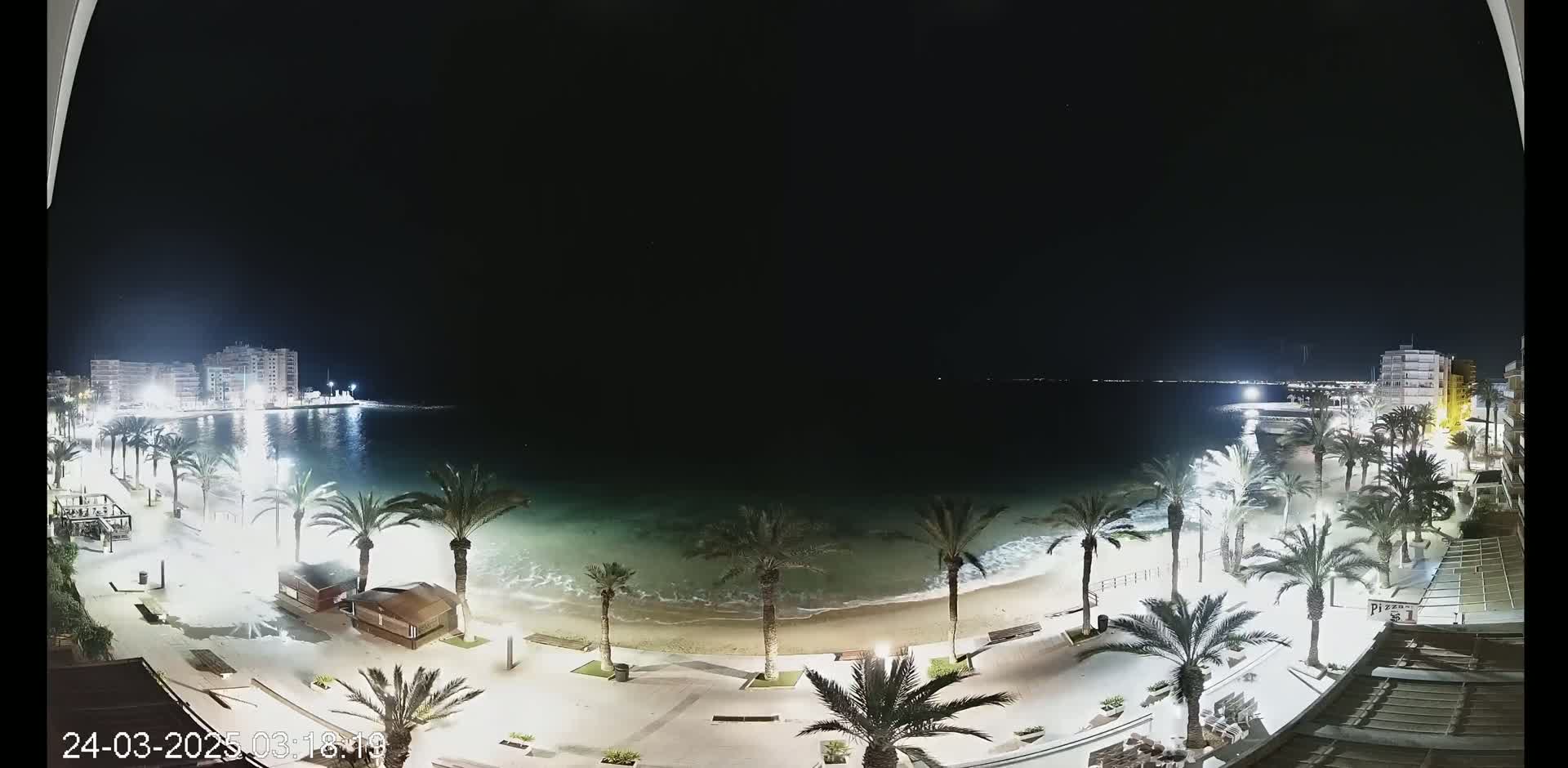 A nighttime view of a beach at the edge of a town, with palm trees lining the promenade and gentle waves lapping the shore under a clear, dark sky.