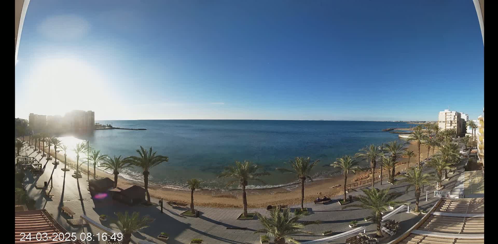 A sunny day at a beachside promenade shows palm trees lining a sandy beach and calm ocean water, with buildings visible in the distance.