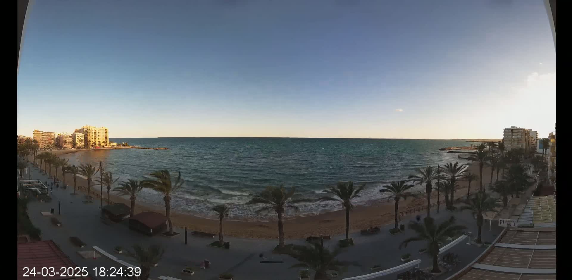 A beach with palm trees and buildings along a coastline under a clear blue sky, with moderate waves in the sea.