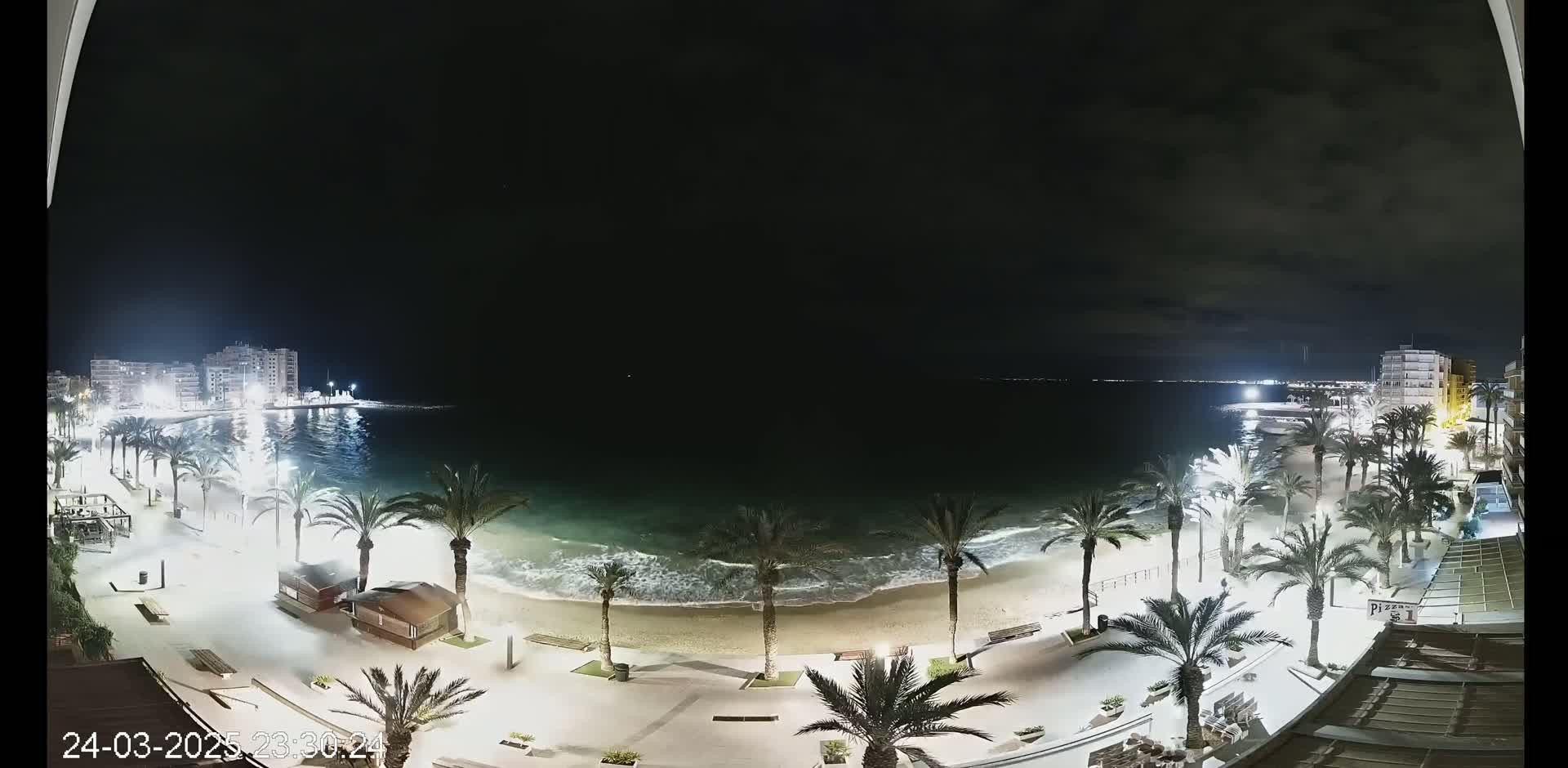 A nighttime view of a beach with palm trees lining a paved walkway, buildings in the distance, and gently lapping waves under a dark, mostly clear sky.