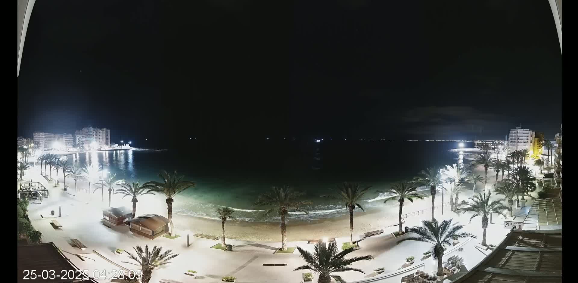 A nighttime view of a beach with palm trees lining a paved walkway, illuminated by lights, with calm waves lapping the shore and buildings visible in the distance.