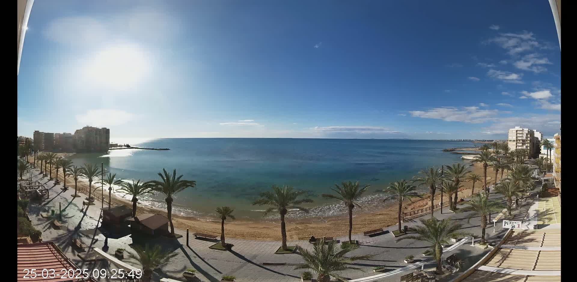 A sunny day reveals a sandy beach lined with palm trees and bordered by buildings, overlooking a calm blue sea.