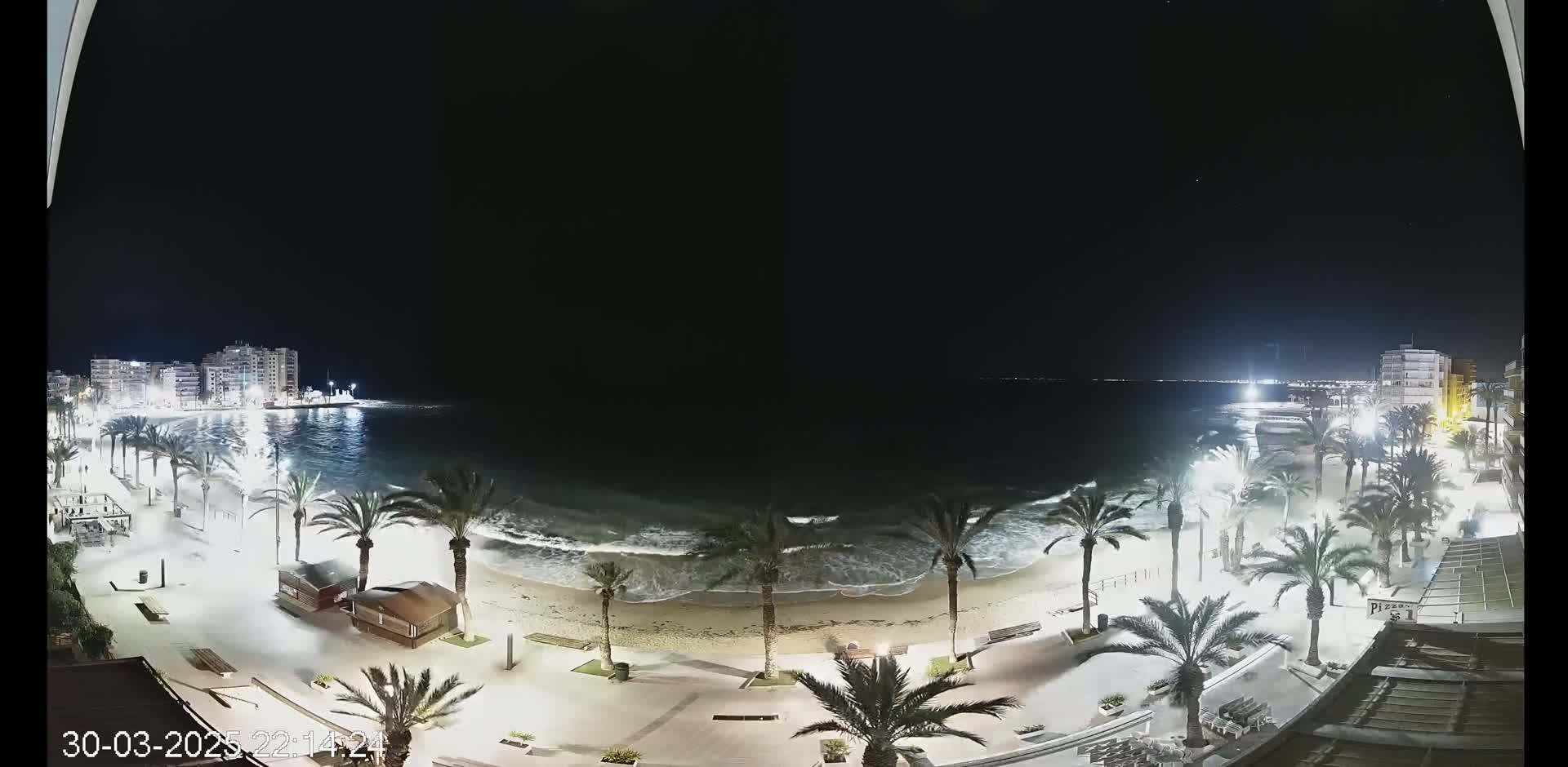 A nighttime view of a beach with palm trees lining a paved walkway, gentle waves lapping the shore, and buildings illuminated in the background under a clear, dark sky.
