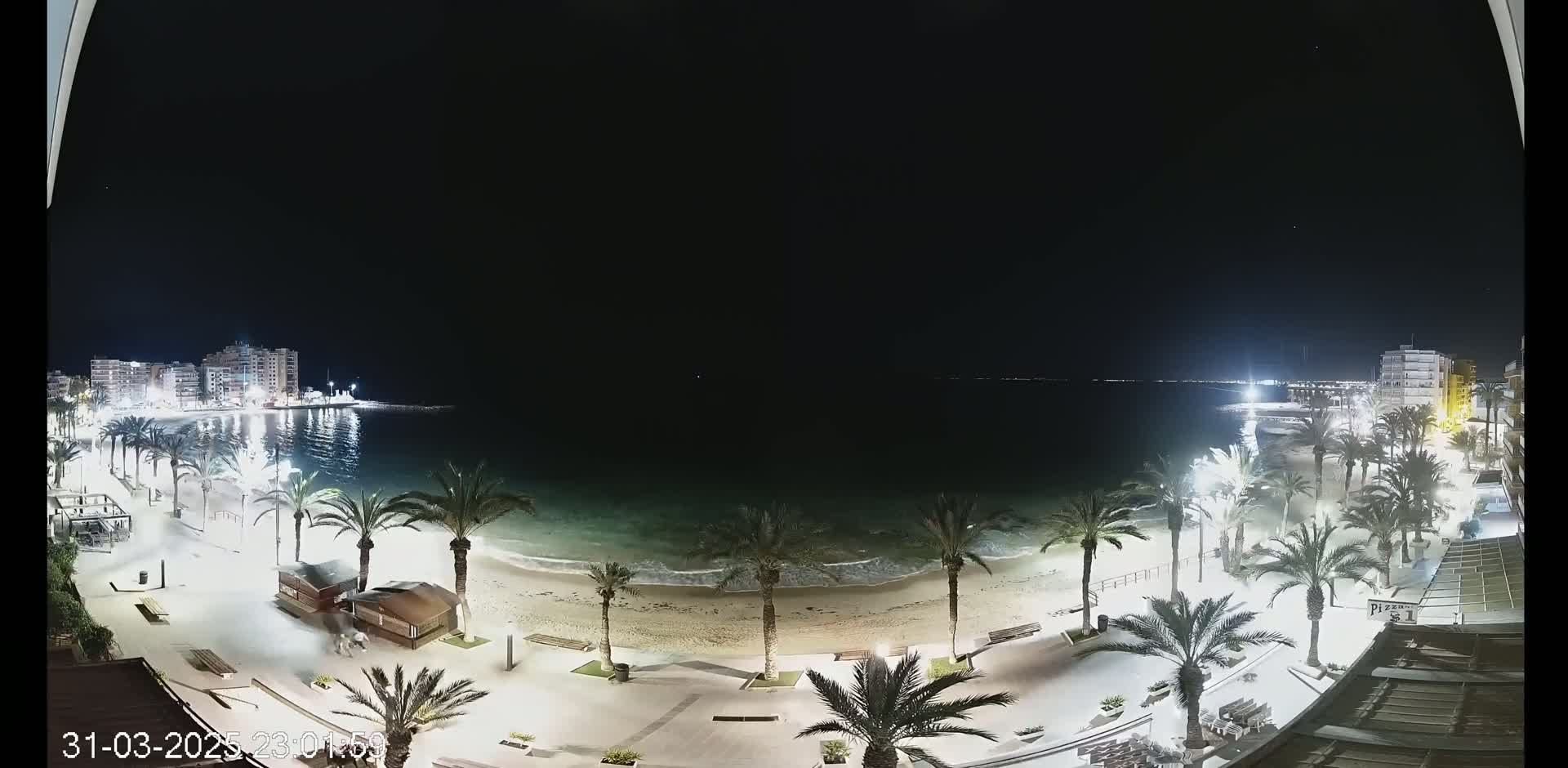 A nighttime view of a beach at a seaside town shows palm trees lining a paved walkway, with calm ocean waters and buildings in the distance under a clear, dark sky.