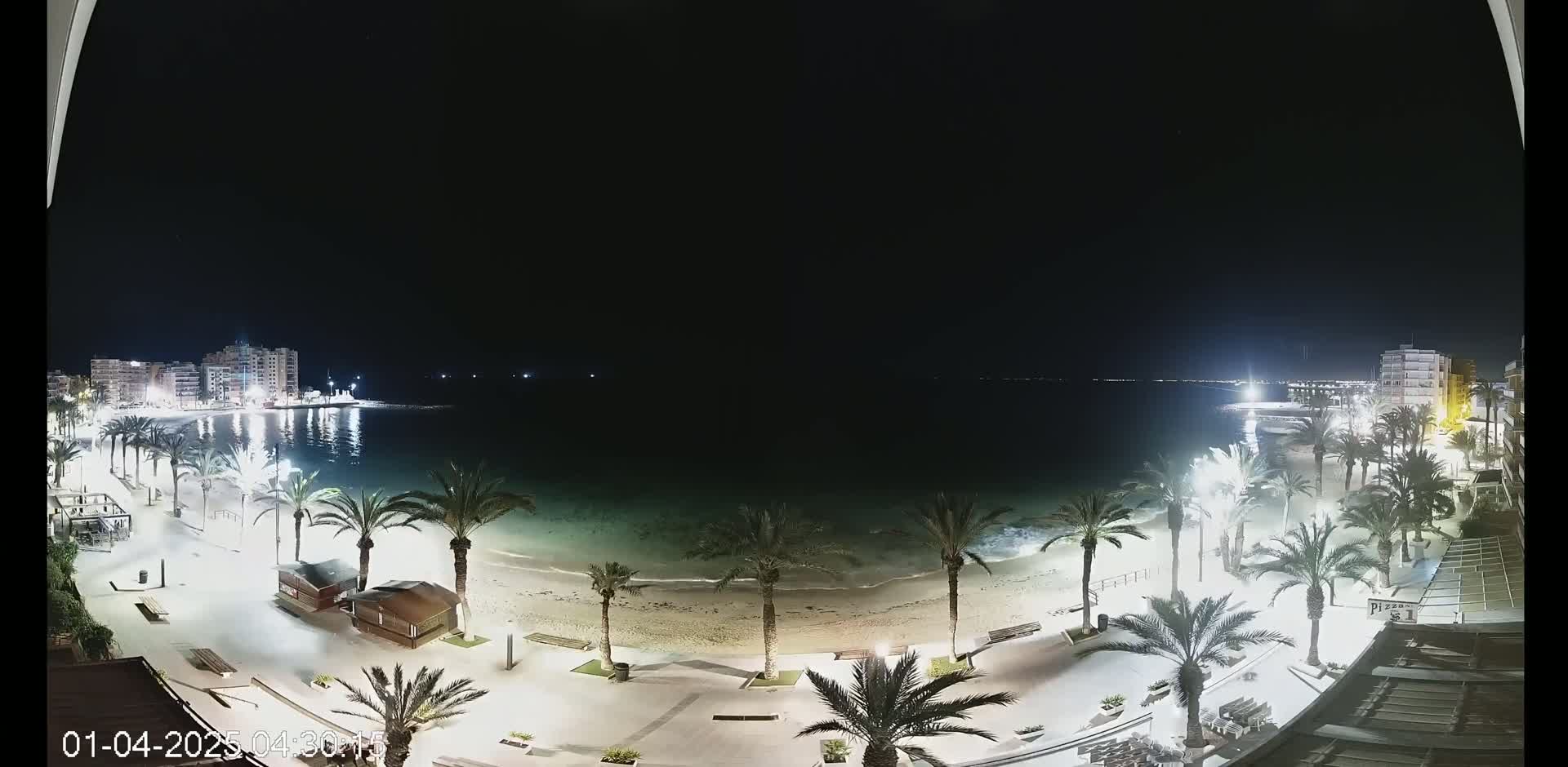 A nighttime view of a beach with palm trees lining a paved walkway, buildings in the distance, and calm water under a dark sky.