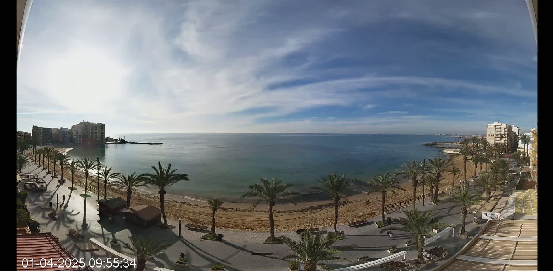 A mostly sunny day overlooking a sandy beach lined with palm trees, a calm ocean, and buildings in the distance.