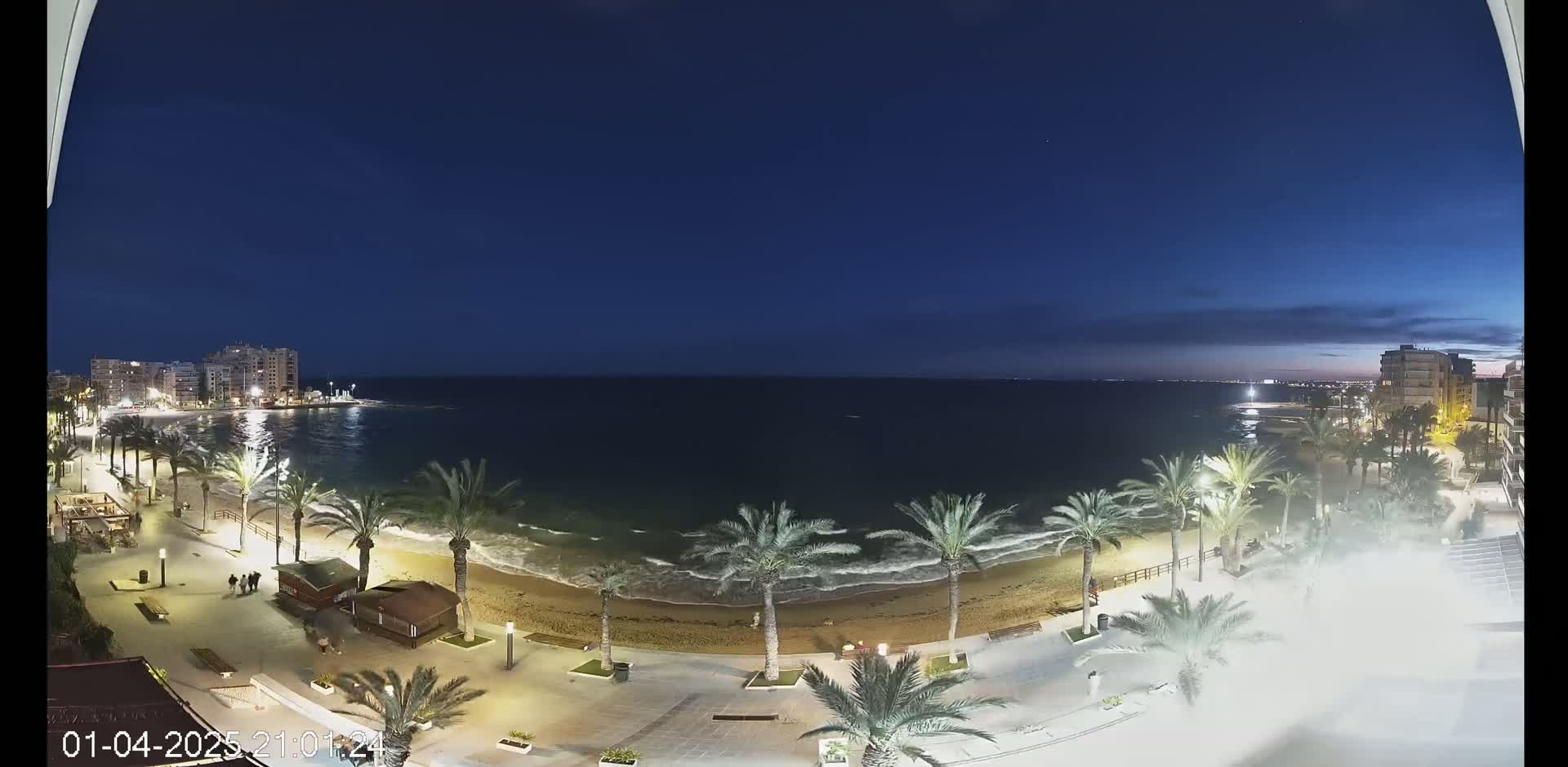 A nighttime view of a beach with palm trees lining a paved walkway, buildings in the distance, and a calm sea under a clear, dark blue sky.