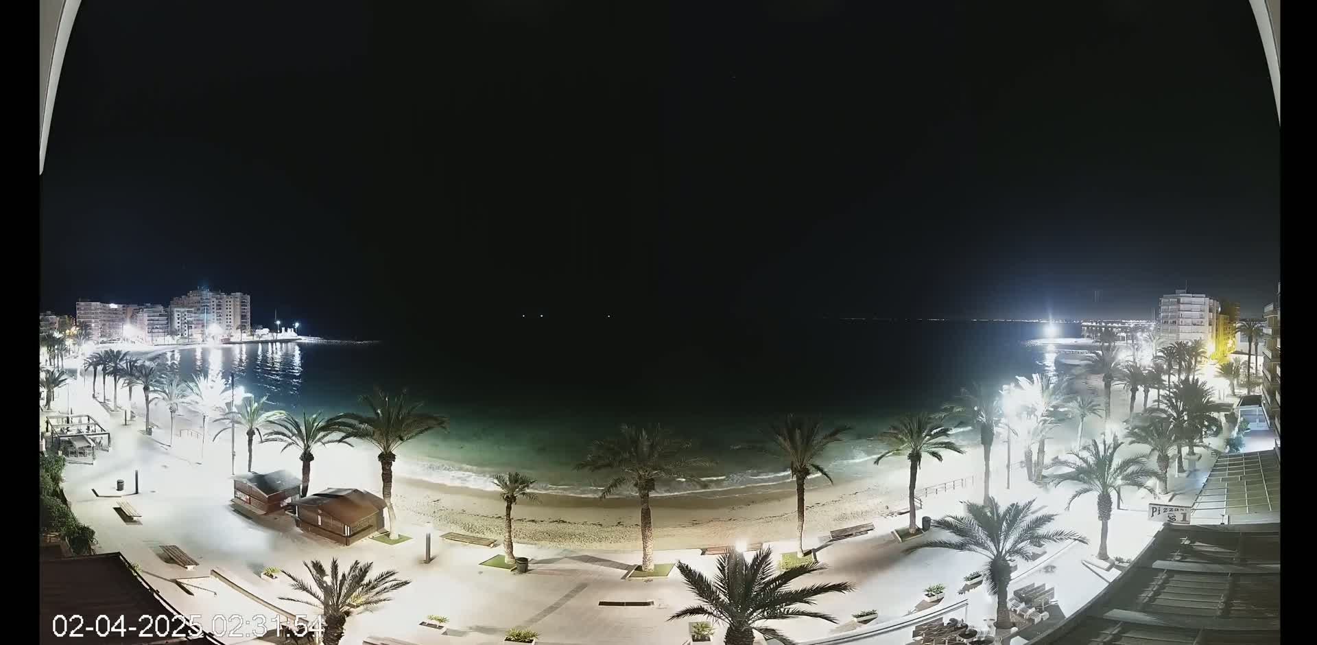 A nighttime view of a beach with palm trees lining a paved walkway, buildings in the distance, and a calm sea under a clear, dark sky.